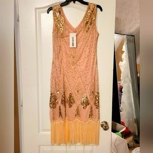Brand New Roaring 20's dress